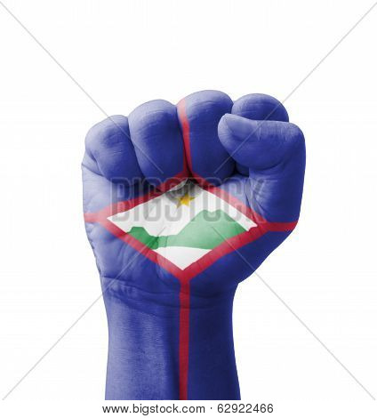 Fist Of Saint Eustatius Flag Painted, Multi Purpose Concept - Isolated On White Background