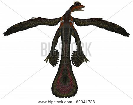 Microraptor Profile On White