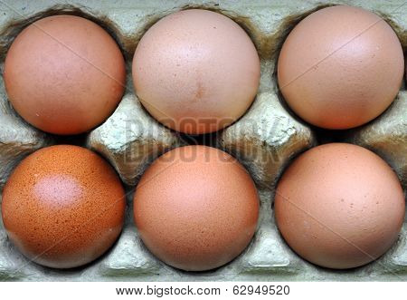 Fresh eggs in Plat
