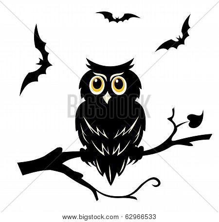 Halloween Owl
