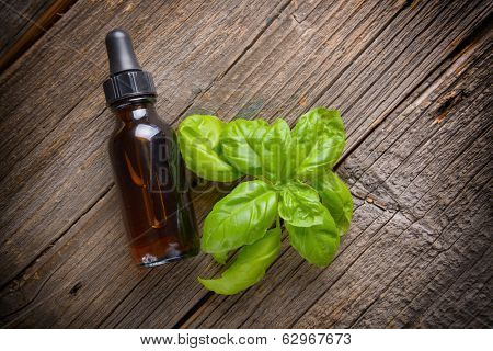 Basil organic essential oil use for food or aromatherapy