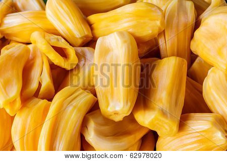 Juicy Jackfruit, Artocarpus Heterophyllus.