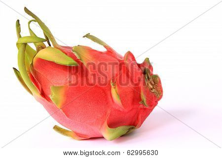Pitahaya Dragon Fruit