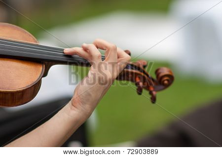 violinist