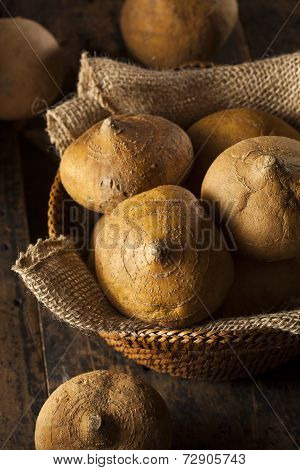 Raw Organic Brown Jicama