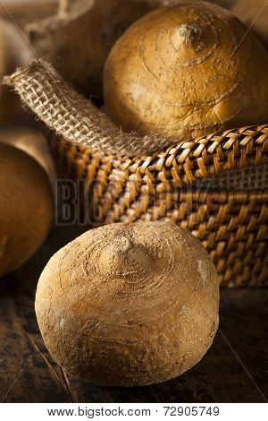 Raw Organic Brown Jicama