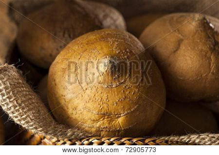 Raw Organic Brown Jicama