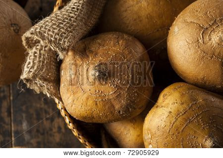 Raw Organic Brown Jicama