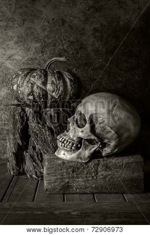 Still Life Skull And Pumpkin On The Timber.