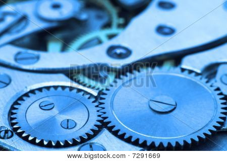 Gear