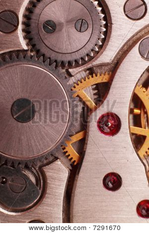 Gear