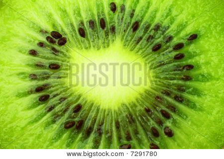 Macrokiwi1