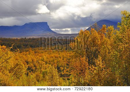 Mountain landscape