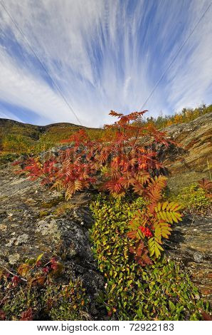 Mountain landscape
