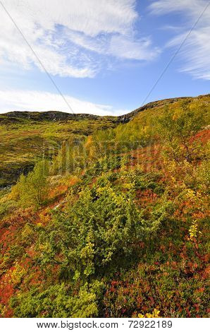 Mountain landscape