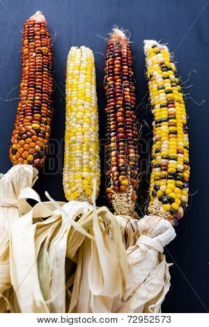 Flint Corn