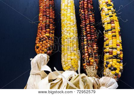 Flint Corn