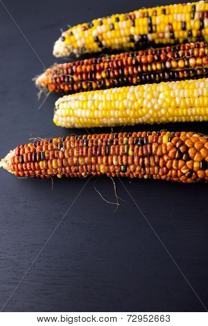Flint Corn