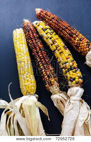 Flint Corn
