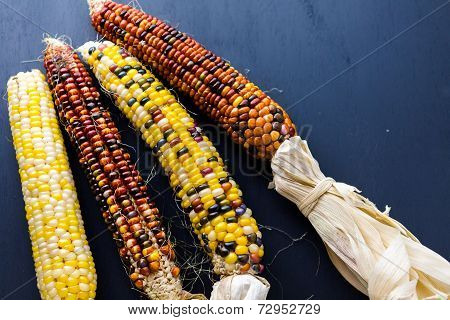 Flint Corn
