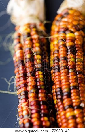 Flint Corn