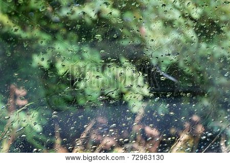Rain on vehicle wind shield.