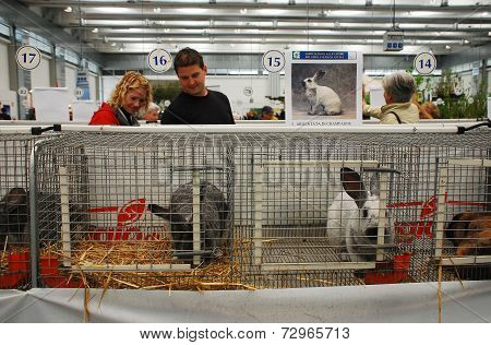 Rabbits Pens