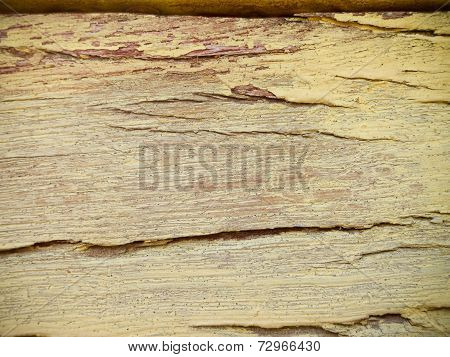 Wood texture
