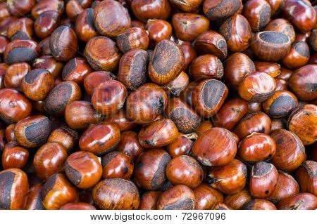 Chestnut