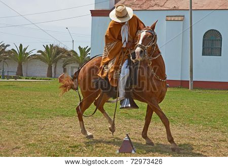 Paso Horse and Rider