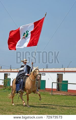 Peruvian Paso Horse and Flag
