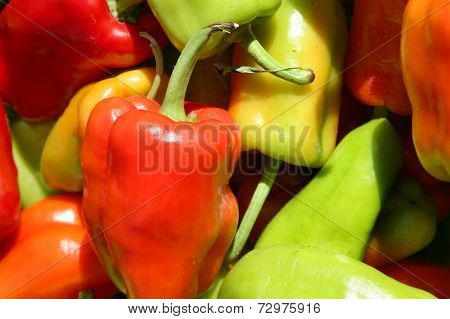 Peppers at market