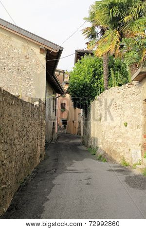 cecina
