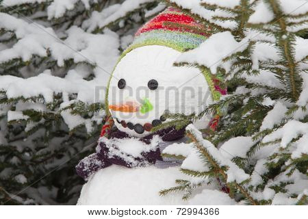 Snowman wearing earflap beanie