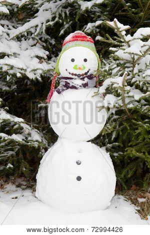 Snowman wearing earflap beanie
