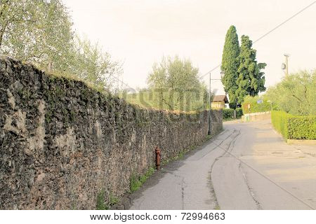 cecina