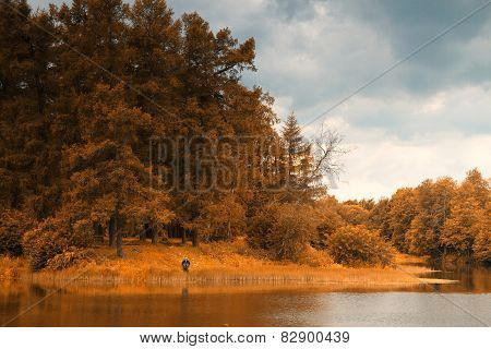 Golden Autumn On The Lake.