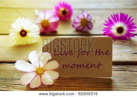 Sunny Label Life Quote Live For The Moment With Cosmea Blossoms