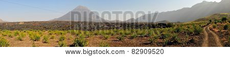 Dirt Road Through The Volcano National Park