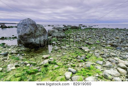 Coastline, stones