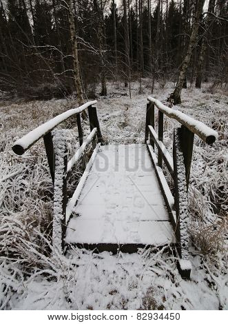 Snow Bridge