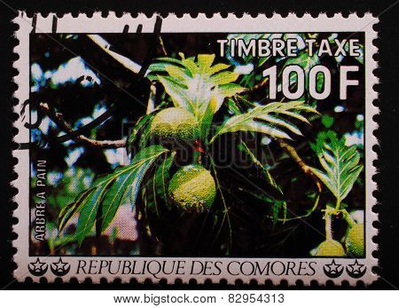 Comoros - Circa 1977: Postage Stamp Printed Comoros Shows Image Of The Breadfruit Tree With Ripening