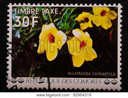 Comoros - Circa 1977: Postage Stamp Printed Comoros Shows Image Of A Flowering Shrub With Large Yell