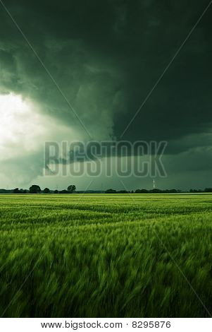 필드 thundery 구름