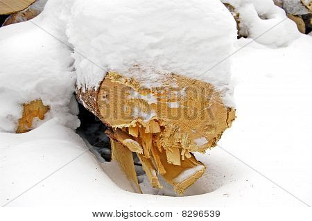 Holz im Schnee