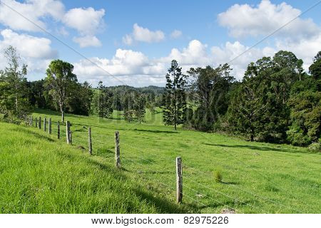 Australian Hinterland