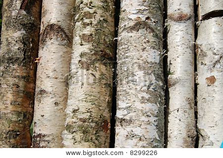 Log textura