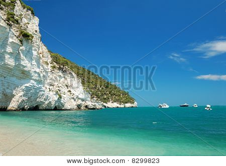 海岸線の風景