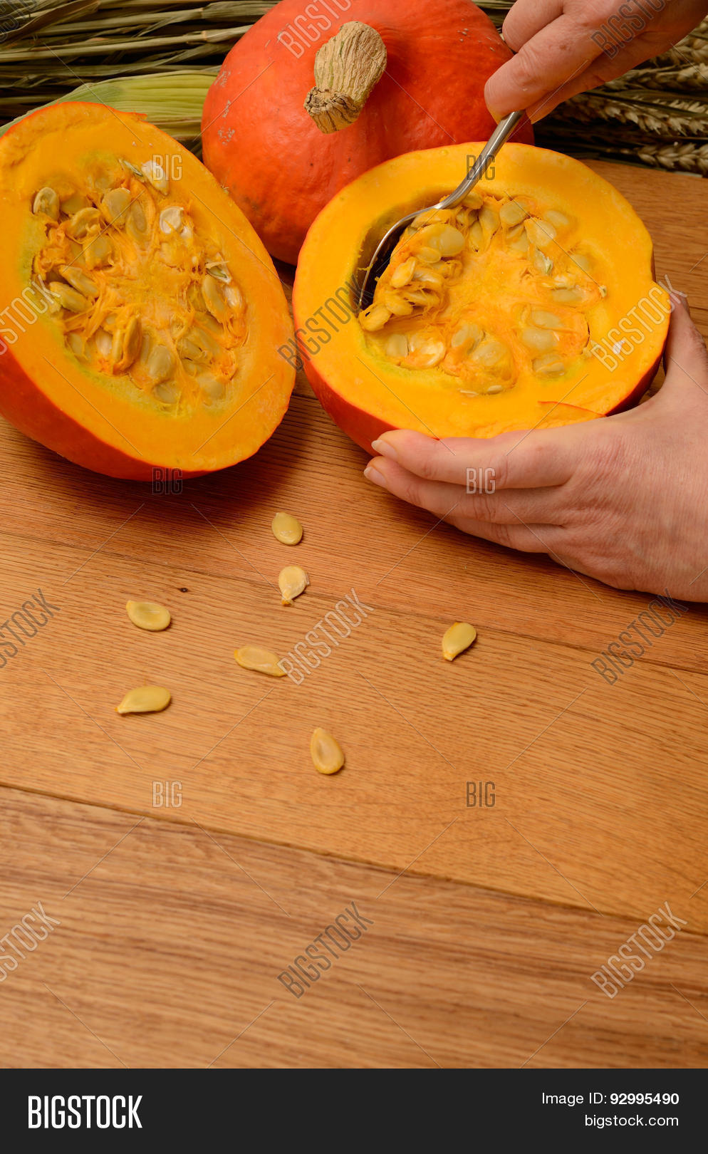 Image Preview