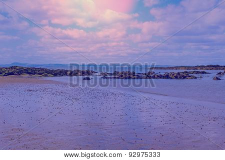 Beautiful beach in the evening North Berwick Scotland